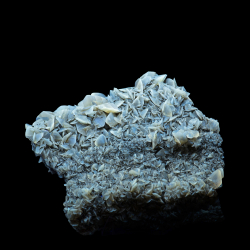 Gypsum,  12 x 11 x 3.5 cm.