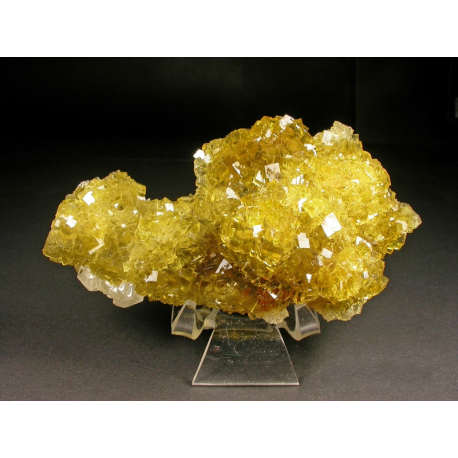Fluorite, Moscona Mine, Spain - large cabinet